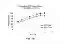 Fig. 12 - GASTRIC RETENTIVE EXTENDED-RELEASE DOSAGE FORMS COMPRISING COMBINATIONS OF A NON-OPIOID ANALGESIC AND AN OPIOID ANALGESIC