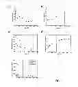 Fig. 02 - METHOD FOR MAKING CUSTOMISED NANOPARTICLES, NANOPARTICLES AND USES THEREOF
