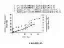 Fig. 06 - Delivery of biologic therapeutics