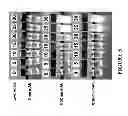 Fig. 08 - Delivery of biologic therapeutics