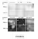 Fig. 09 - Delivery of biologic therapeutics