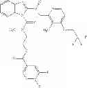 Fig. 83 - CONTROLLED RELEASE PREPARATION