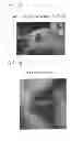 Fig. 02 - Compositions and methods for forming and strengthening bone