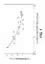 Fig. 02 - Elastic tissue matrix derived hydrogel