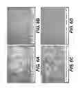 Fig. 07 - Elastic tissue matrix derived hydrogel
