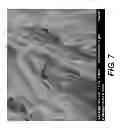 Fig. 08 - Elastic tissue matrix derived hydrogel