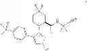 Fig. 03 - COMPOSITION FOR INHIBITION OF CATHEPSIN K