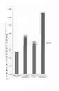 Fig. 02 - Composition and method for improving gastrointestinal health of equine