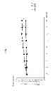 Fig. 02 - COMPOSITION FOR TREATING OBESITY AND DIABETES AND FOR INCREASING MUSCLE MASS AND IMPROVING CAPACITY FOR EXERCISE, COMPRISING EXTRACTS OF PIPER RETROFRACTUM VAHL. FRUITS AS ACTIVE INGREDIENTS