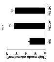 Fig. 10 - COMPOSITION FOR TREATING OBESITY AND DIABETES AND FOR INCREASING MUSCLE MASS AND IMPROVING CAPACITY FOR EXERCISE, COMPRISING EXTRACTS OF PIPER RETROFRACTUM VAHL. FRUITS AS ACTIVE INGREDIENTS