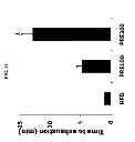 Fig. 12 - COMPOSITION FOR TREATING OBESITY AND DIABETES AND FOR INCREASING MUSCLE MASS AND IMPROVING CAPACITY FOR EXERCISE, COMPRISING EXTRACTS OF PIPER RETROFRACTUM VAHL. FRUITS AS ACTIVE INGREDIENTS