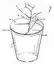 Fig. 01 - Method and an individually sealed packaged drink in container with sealed ingredient packet