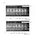 Fig. 02 - COMPOSITION HAVING IMPROVED HEAD STABILITY AND USE THEREOF