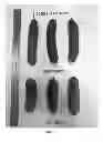 Fig. 02 - Cucumber Variety NUN 32029 CUS