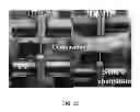 Fig. 31 - Stabilized polyester based compositions