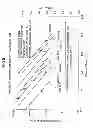 Fig. 06 - Roll of continuous web of optical film laminate and production method therefor