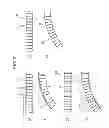 Fig. 06 - PROCESS AND APPARATUS FOR PRODUCING REINFORCING-FIBER STRIP SUBSTRATE HAVING CIRCULAR-ARC PART, AND LAYERED STRUCTURE, PREFORM, AND FIBER-REINFORCED RESIN COMPOSITE MATERIAL EACH COMPRISING OR PRODUCED USING THE SUBSTRATE