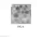 Fig. 07 - Microparticle, addition agent and filtering membrane