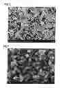 Fig. 03 - Composite of metal and resin and method for manufacturing same