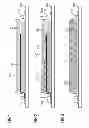 Fig. 02 - Degradable flow medium for resin transfer molding processes