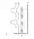 Fig. 43 - Methods for the detection of biologically relevant molecules and their interaction characteristics