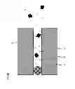 Fig. 49 - Methods for the detection of biologically relevant molecules and their interaction characteristics