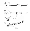 Fig. 06 - ASSAYS FOR THE DETECTION OF GENOTYPE, MUTATIONS, AND/OR ANEUPLOIDY
