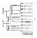 Fig. 08 - CC2D2A gene mutations associated with Joubert syndrome and diagnostic methods for identifying the same