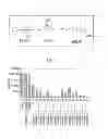 Fig. 02 - METHOD FOR INHIBITING PROTEASE IN BIOLOGICAL SAMPLE CONTAINING PANCREATIC JUICE COMPONENTS