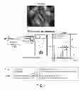 Fig. 02 - In vivo proteomic mapping