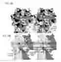 Fig. 16 - Compositions and methods for optimizing drug hydrophobicity and drug delivery to cells