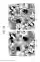 Fig. 19 - Compositions and methods for optimizing drug hydrophobicity and drug delivery to cells