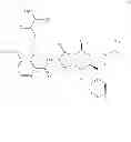 Fig. 33 - Synthesis and use of isotopically labeled macrocyclic compounds