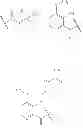 Fig. 44 - Synthesis and use of isotopically labeled macrocyclic compounds