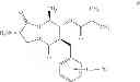 Fig. 48 - Synthesis and use of isotopically labeled macrocyclic compounds