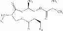 Fig. 67 - Synthesis and use of isotopically labeled macrocyclic compounds