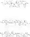 Fig. 239 - NOVEL OPTICAL LABELING MOLECULES FOR PROTEOMICS AND OTHER BIOLOGICAL ANALYSIS