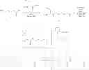 Fig. 367 - NOVEL OPTICAL LABELING MOLECULES FOR PROTEOMICS AND OTHER BIOLOGICAL ANALYSIS