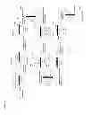 Fig. 03 - Methods of producing 7-carbon chemicals via methyl-ester shielded carbon chain elongation
