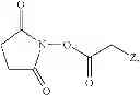 Fig. 76 - Compounds and methods for purification of serine proteases