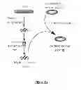 Fig. 02 - Use of cellular extracts for obtaining pluripotent stem cells