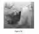 Fig. 09 - Use of cellular extracts for obtaining pluripotent stem cells