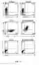 Fig. 02 - Activation and expansion of T-cells using an engineered multivalent signaling platform as a research tool