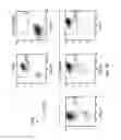 Fig. 06 - Activation and expansion of T-cells using an engineered multivalent signaling platform as a research tool