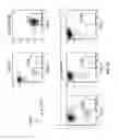 Fig. 07 - Activation and expansion of T-cells using an engineered multivalent signaling platform as a research tool