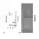 Fig. 04 - Small molecules supporting pluripotent cell growth and methods thereof