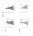 Fig. 12 - Differentiation of human embryonic stem cells into pancreatic endocrine cells using HB9 regulators