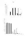 Fig. 02 - Generation of neuronal cells from pluripotent stem cells