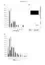 Fig. 07 - Generation of neuronal cells from pluripotent stem cells