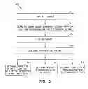 Fig. 03 - Vectors for directional cloning